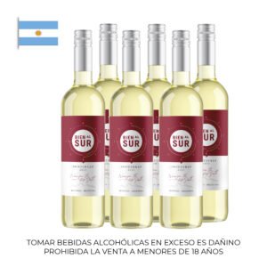 Pack de 06 Vinos Bien al Sur Daily Chardonnay 750ml