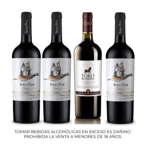 Vientos de Cordillera